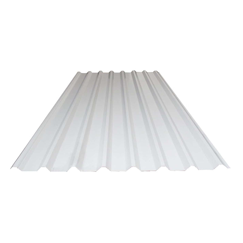 Lámina Pintro Rectangular 1.07 X 6.10 Mt C-24 R101