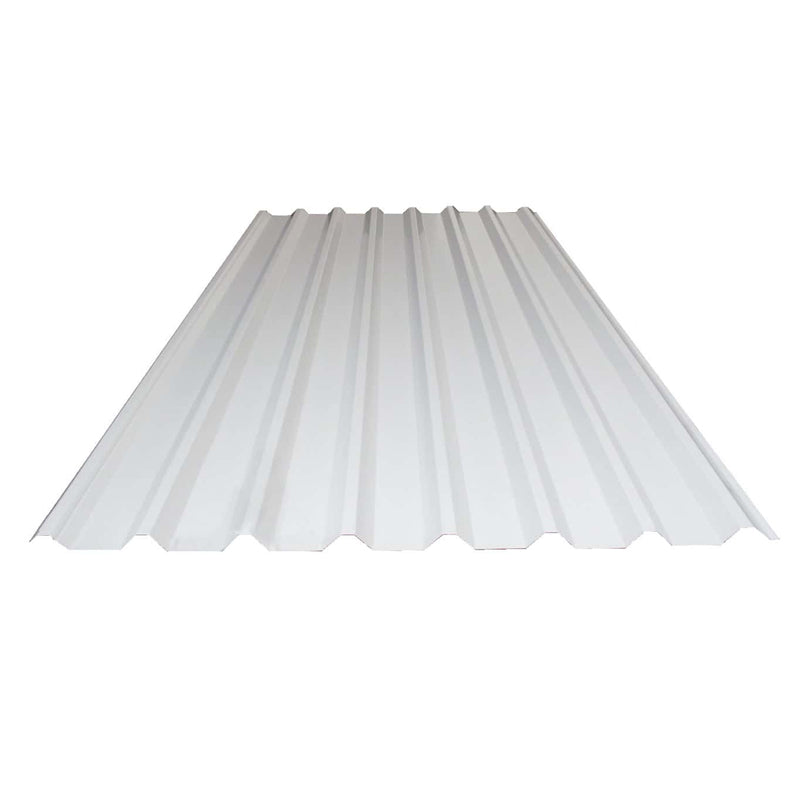 Lámina Pintro Rectangular 1.07 X 7.32 Mt C-26 R101