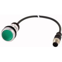 Botón iluminado, bisel de plata, verde, 24V, 1NO, el 1m M12A, serie C22