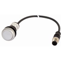 Botón iluminado, bisel de plata, blanco, 24V, 1NC, el 1m M12A, serie C22