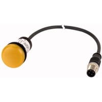 Indicador intermitente del LED, amarillo, 24V, los 0.2m M12A, serie C22