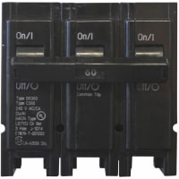 Mecanografíe el triturador 60A/3 poste 240V 10K del BR