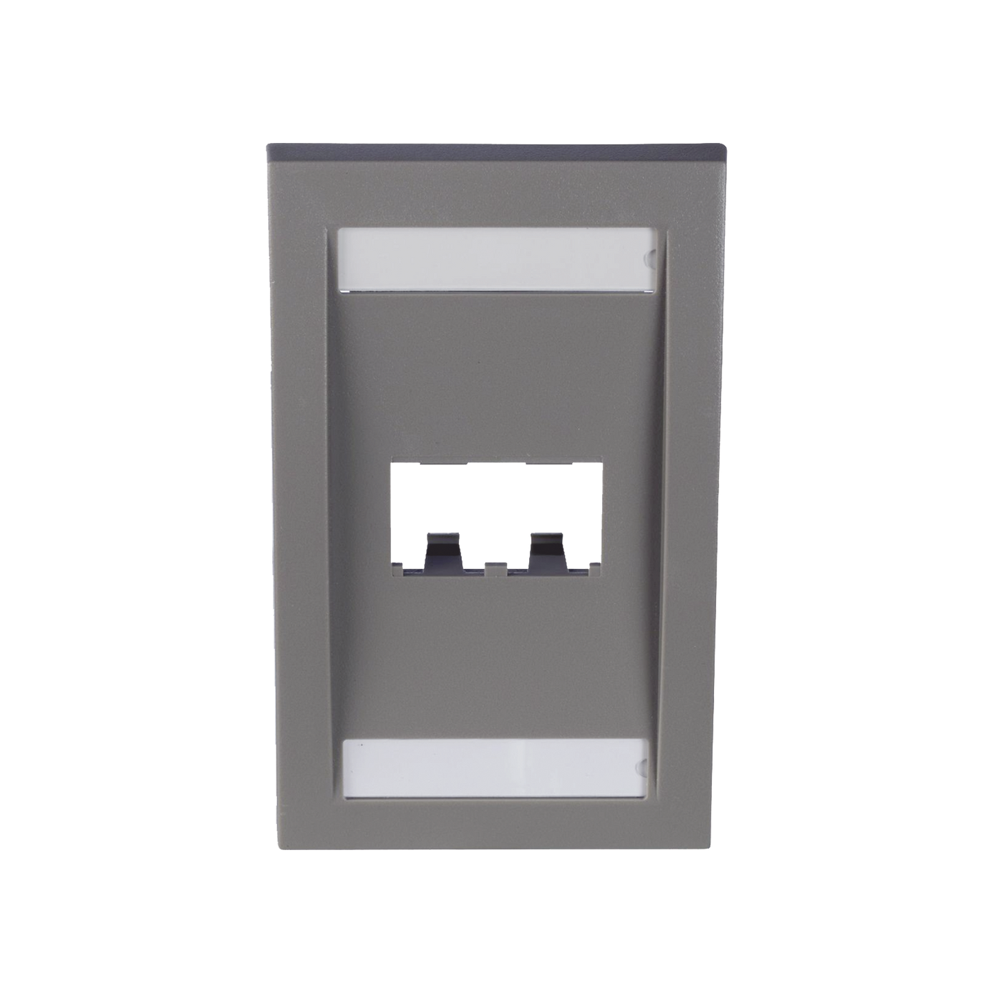 Placa de Pared Vertical Ejecutiva, Salida Para 2 Puertos Mini-Com, Con Espacios Para Etiquetas, Color Gris