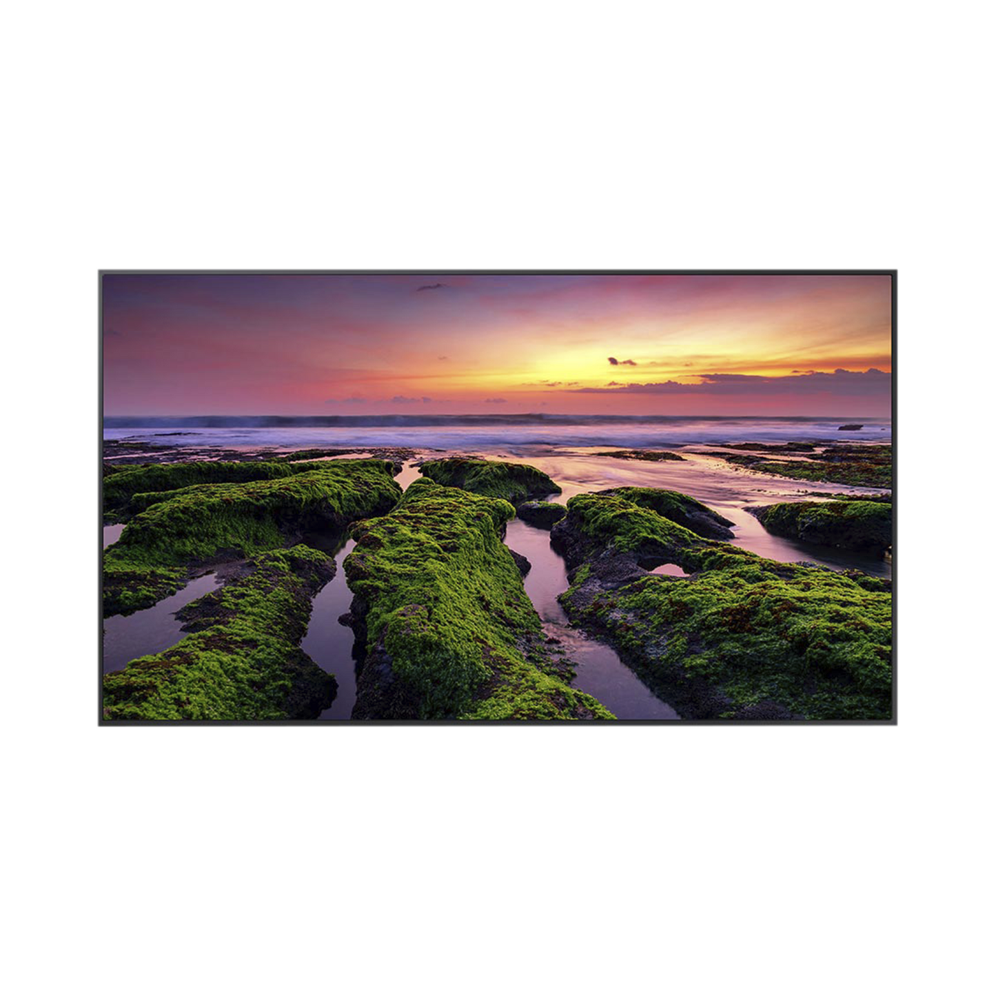 Pantalla Profesional LED de 50", UHD 4K (3840x2160p), Entradas de Video HDM, Bocinas Integradas de 10 W. Compatible VESA