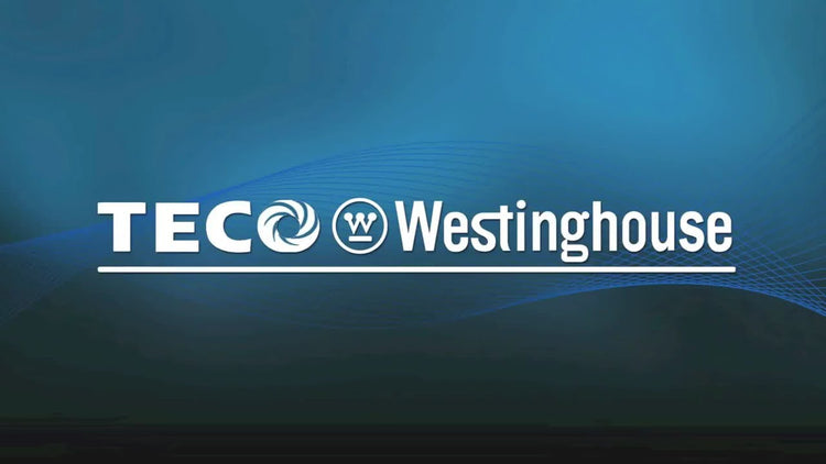 Teco Westinghouse