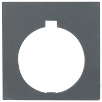 Botón, placa de leyenda, plástico cuadrado, espacio en blanco, serie 10250T