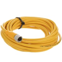 Cordset, Cortar-extremo de la hembra M12, amarillo, cond de 4., los 5m, PVC, serie de BCC