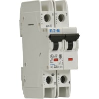 Interruptor, FAZ, curva de D, 2 poste, 7A, 240 VAC, terminales del tornillo