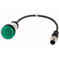 Indicador intermitente del LED, verde, 24V, los 0.2m M12A, serie C22