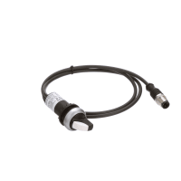 Interruptor con llave, 2-Pos, bisel de plata, 1NO, 0.2mM9, serie C22