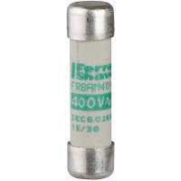 El fundir-desenganche de TeSys - cartucho x 10 del fusible 38 milímetros - es 2 A - sin la indicación