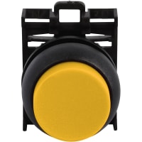 Negro-Bzl No-Enfermo Extd Yel del Pb de la mamá