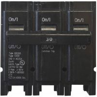 Mecanografíe el triturador 30A/3 poste 240V 10K del BR