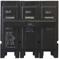 Mecanografíe el triturador 50A/3 poste 240V 10K del BR