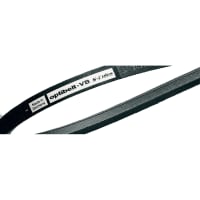 V-Belt, sección de C, C240