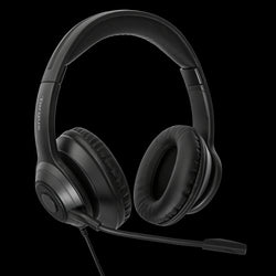 Diadema Stereo Alámbrica AEH102TT