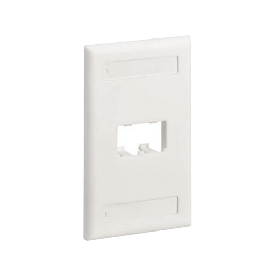 Placa de Pared Vertical ClÃ¡sica, Salida Para 2 Puertos Mini-Com, Con Espacios Para Etiquetas, Color Blanco Mate