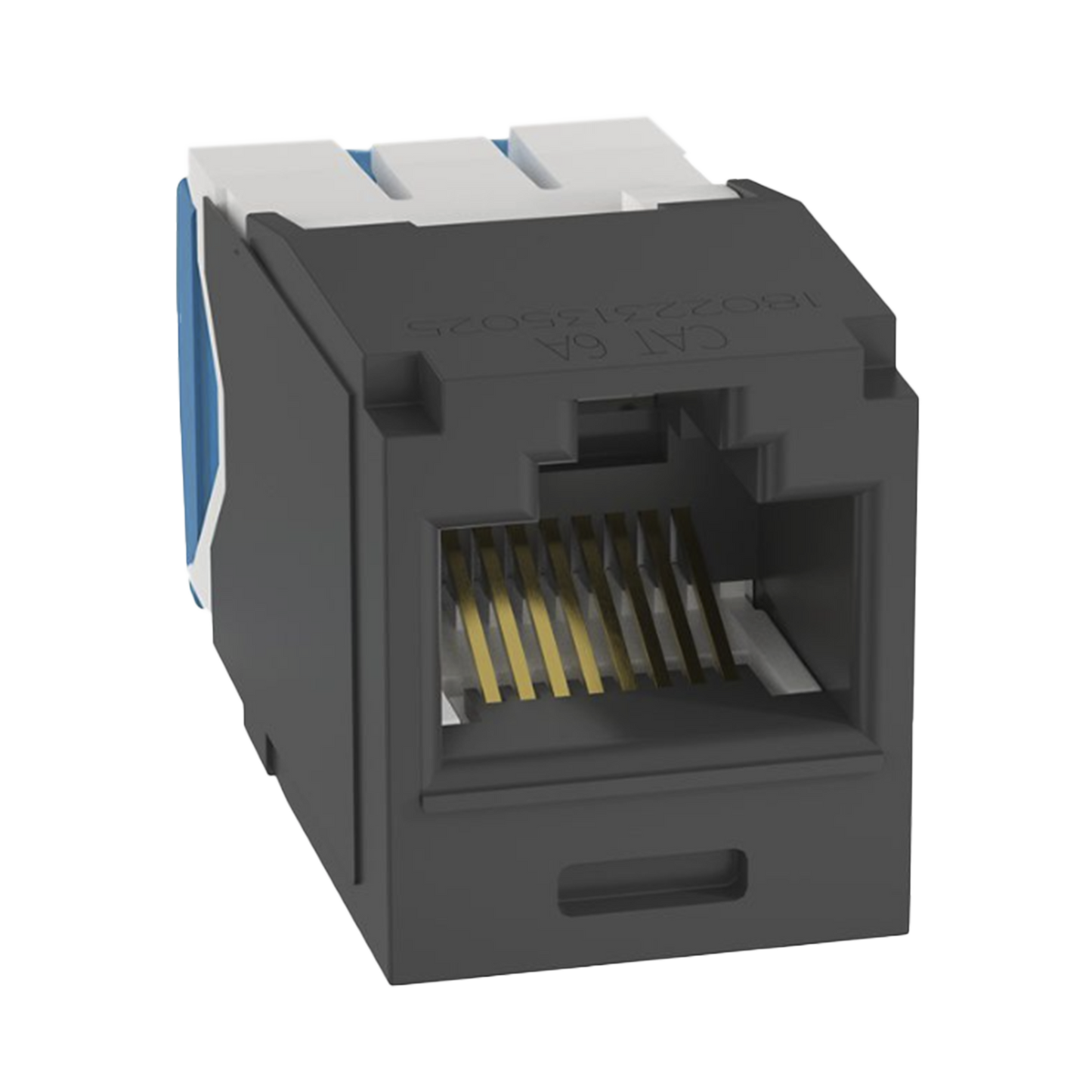 Conector Jack RJ45 Estilo TG, Mini-Com, CategorÃ­a 6A, de 8 posiciones y 8 cables, Color Negro