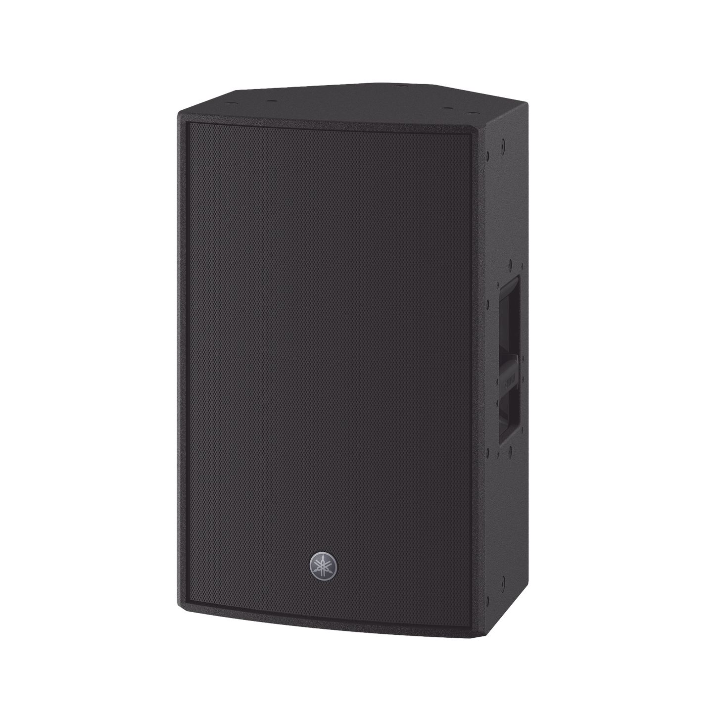 Altavoz Activo 12" | 2000w | Tweeter 2" | DSP integrado | Display de configuraciÃ³n | Ideal para Monitor de Piso o instalaciÃ³n