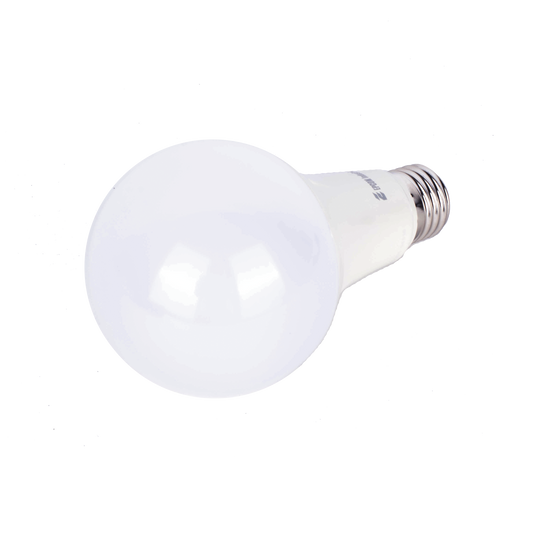 Foco LED para Alumbrado en Interior / Luz FrÃ­a / 12 W / 1200 lÃºmenes / 30000 hrs / Ãngulo de IluminaciÃ³n 220Â°