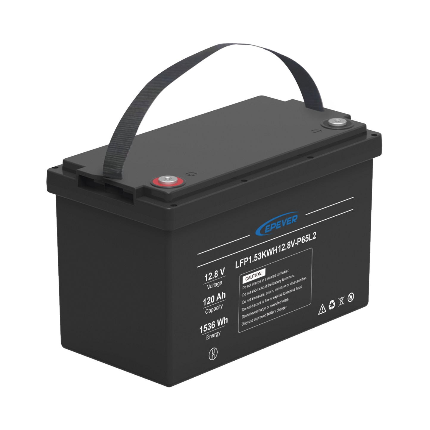 BaterÃ­a de Litio LiFePO4 Ciclo Profundo 12.8Vcc, 120 Ah, 1.53Kwh, para Exterior, Libre de Mantenimiento