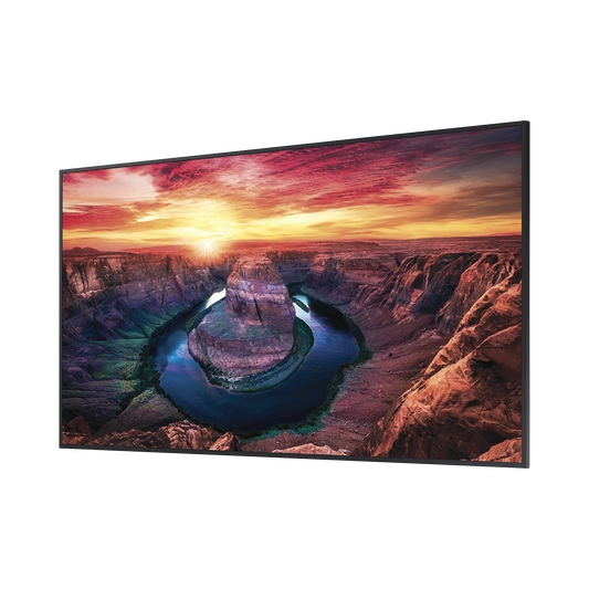 Pantalla Profesional LED de 65", UHD 4K (3840x2160p), Entradas de Video HDMI/DisplayPort, Bocinas Integradas de 10 W. Compatible VESA. Modo de SimulaciÃ³n DICOM