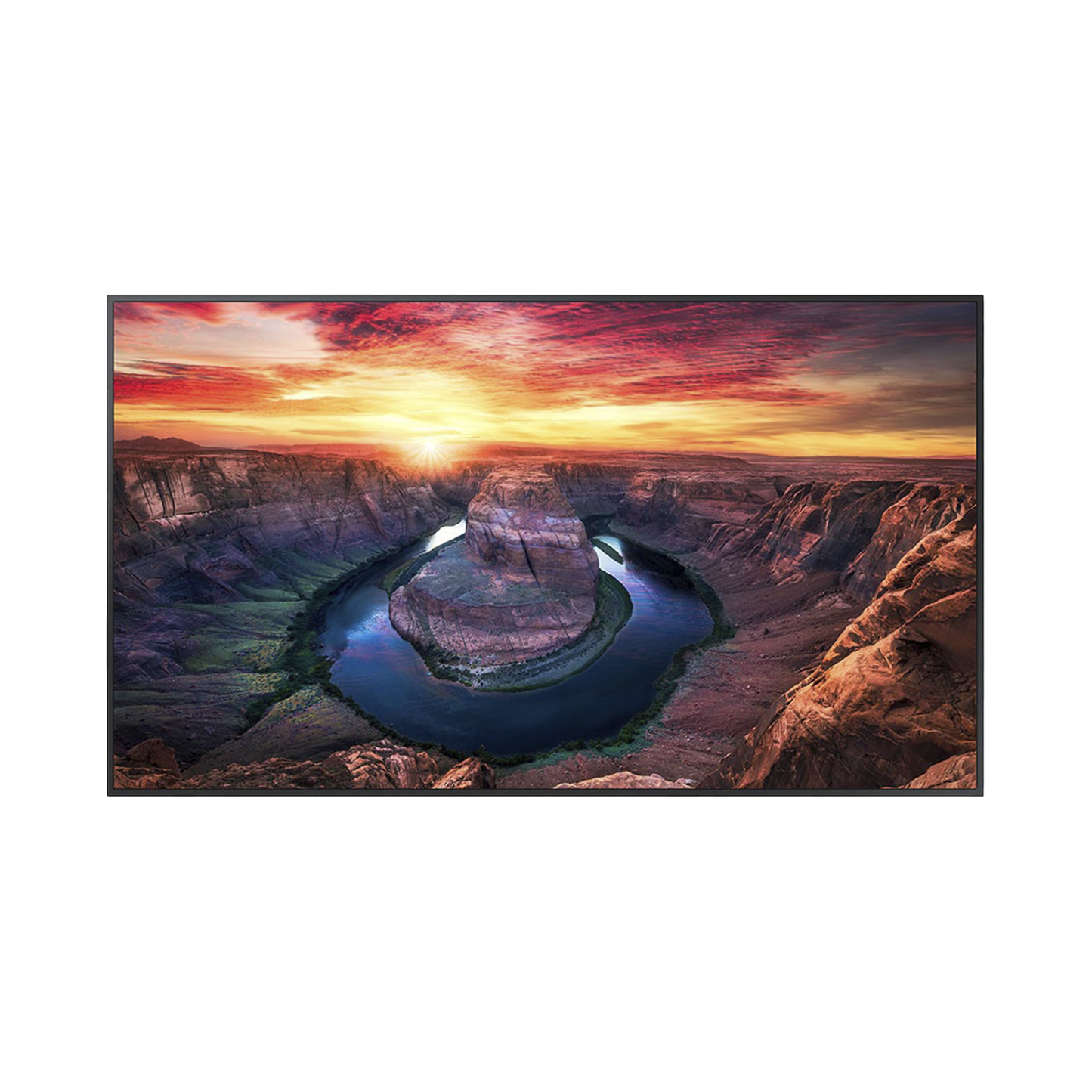 Pantalla Profesional LED de 65", UHD 4K (3840x2160p), Entradas de Video HDMI/DisplayPort, Bocinas Integradas de 10 W. Compatible VESA. Modo de SimulaciÃ³n DICOM