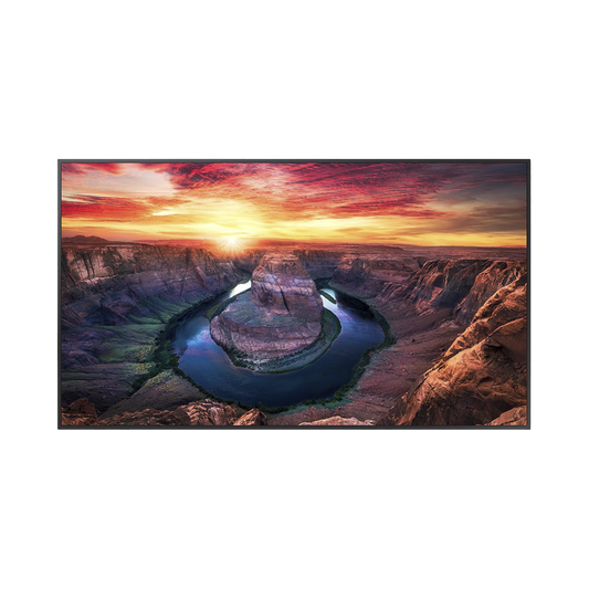 Pantalla Profesional LED de 75", UHD 4K (3840x2160p), Entradas de Video HDMI/DisplayPort, Bocinas Integradas de 10 W. Compatible VESA. Modo de SimulaciÃ³n DICOM