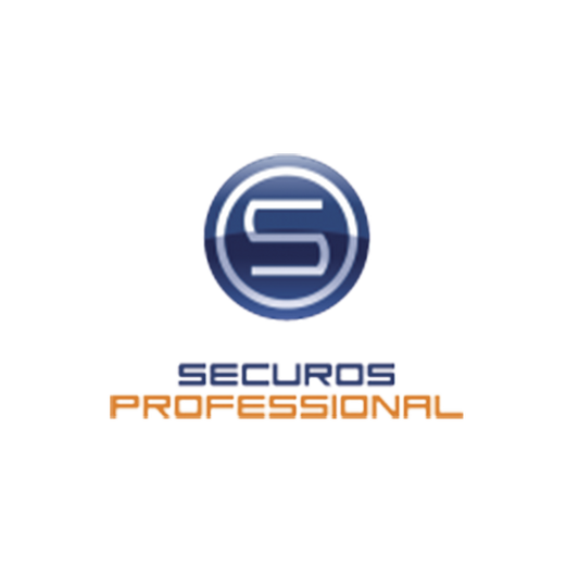 Licencia para CÃ¡mara de SecurOS Professional (1 Canal).
