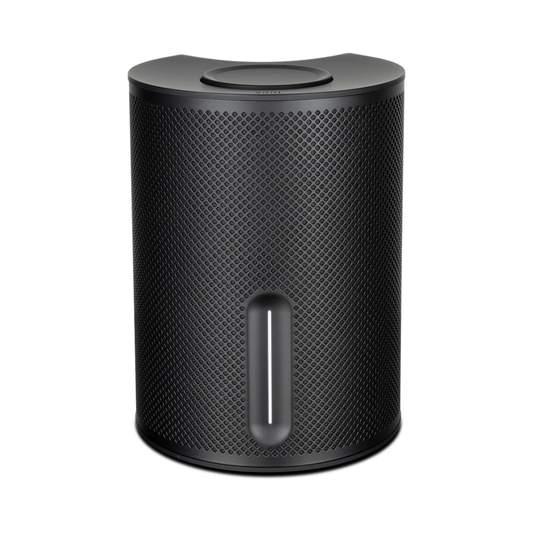 SerieSX Altavoz Activo | Certificado Dolby DTS | Native Streamingâ„¢ | Wireless Syncs 5.1 System |