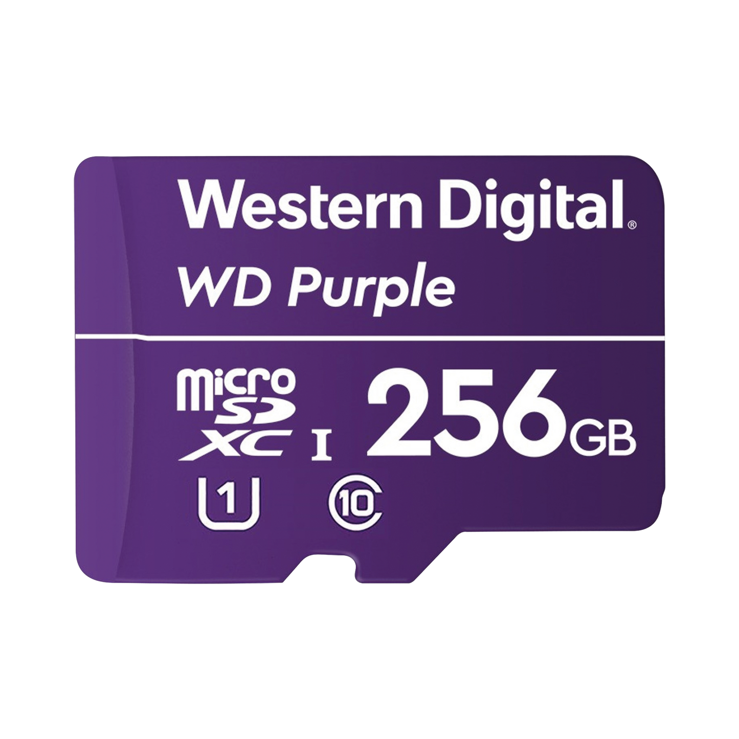 Memoria microSD de 256 GB PURPLE, Especializada Para Videovigilancia, 10 VECES MAYOR DURACIÃ“N, 3 AÃ‘OS DE GARANTIA